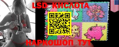 прущие крисы Ставрополь
