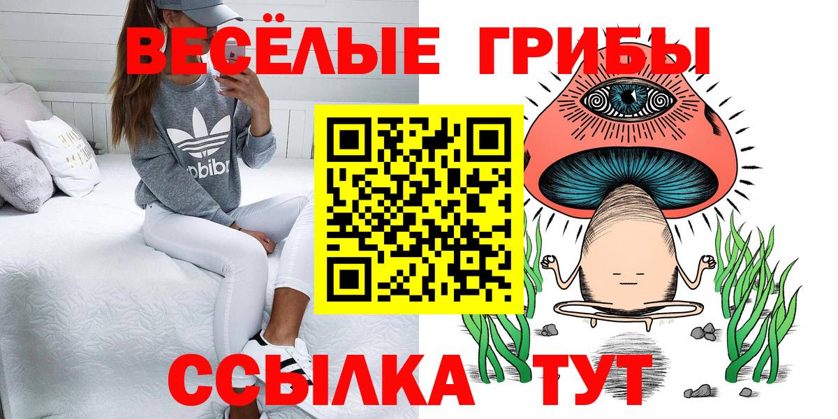 Псилоцибиновые грибы Psilocybine cubensis Орск