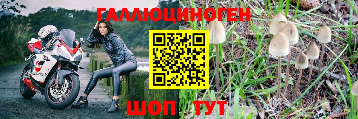 Галлюциногенные грибы Psilocybe  Вход с VPN  Орск 